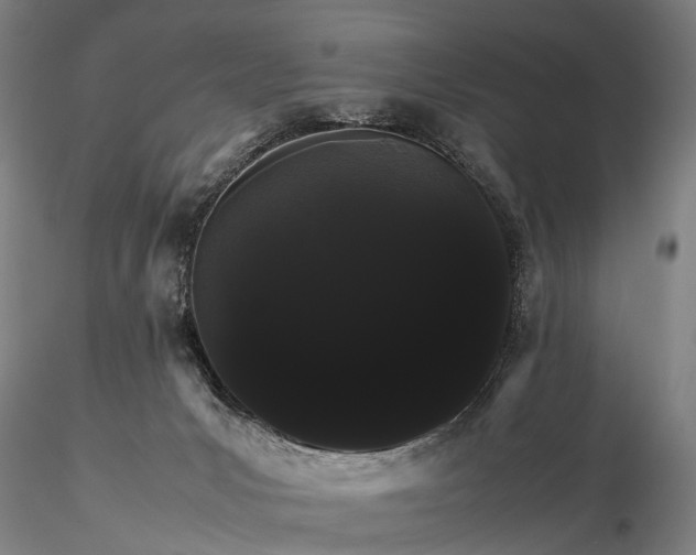 X0000116120031200912071356