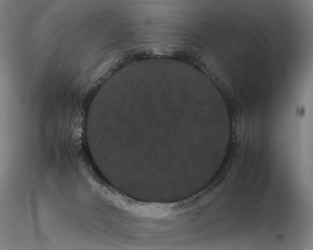 X0000116120032200912071356