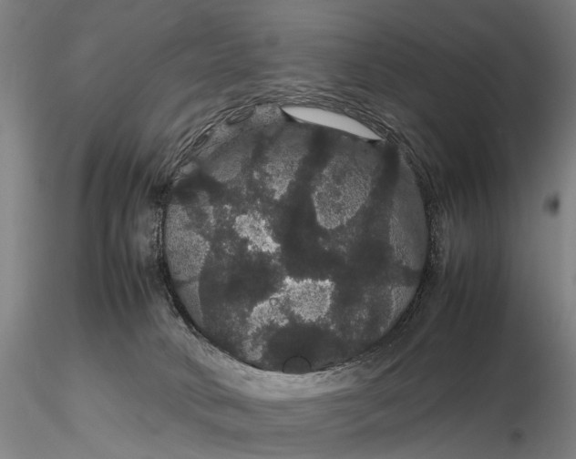 X0000116120034200912071356