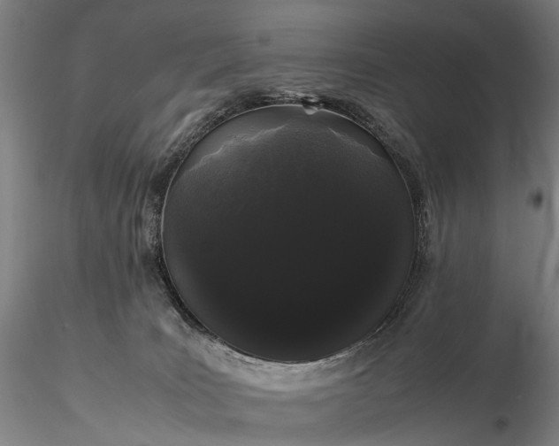 X0000116120035200912071356