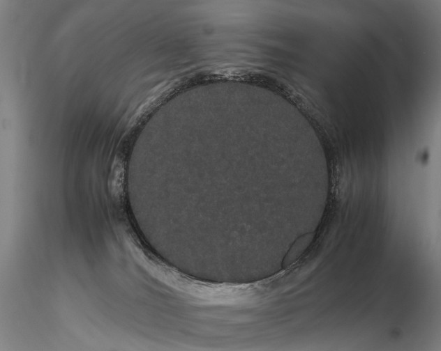 X0000116120036200912071356