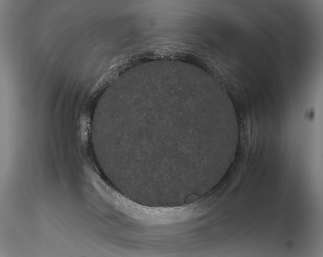 X0000116120038200912071356