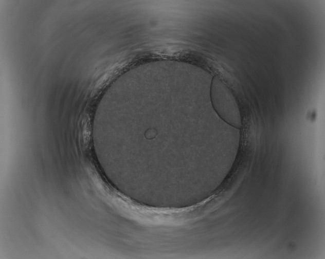 X0000116120040200912071356