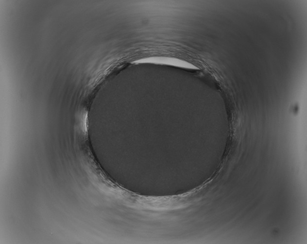 X0000116120041200912071356