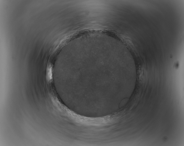 X0000116120042200912071356