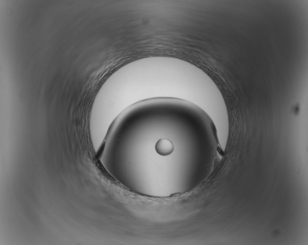 X0000116120043200912071356