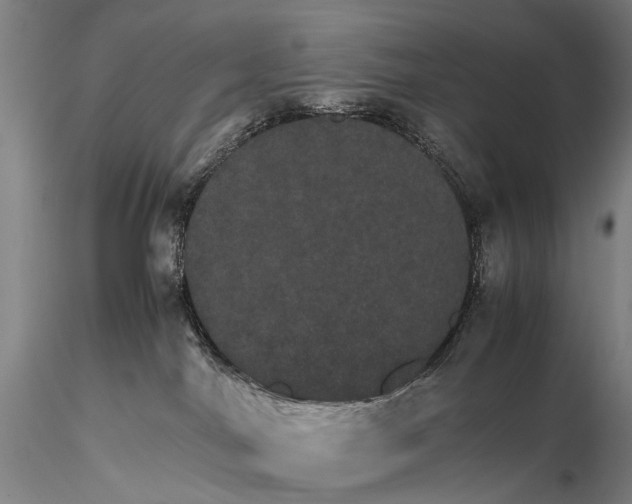 X0000116120044200912071356