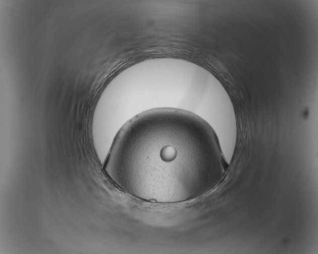 X0000116120045200912071356