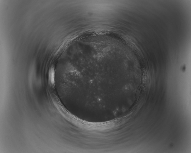 X0000116120046200912071356