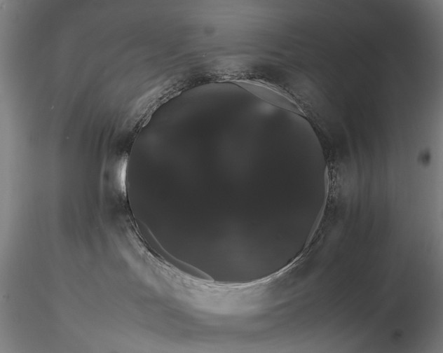 X0000116120047200912071356