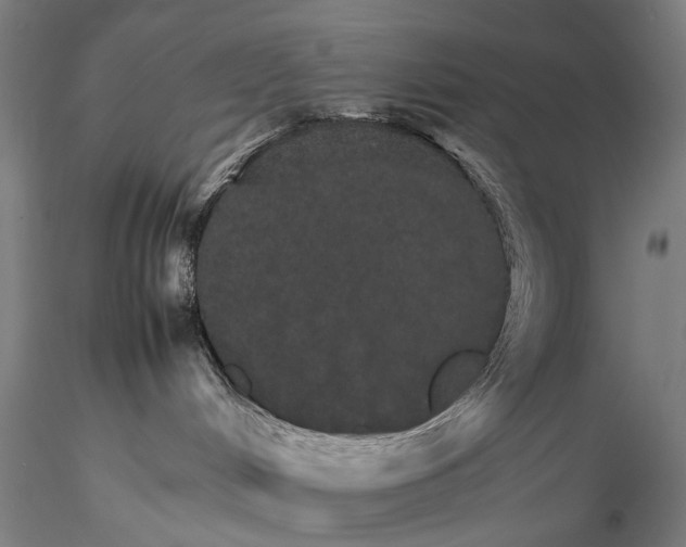 X0000116120048200912071356