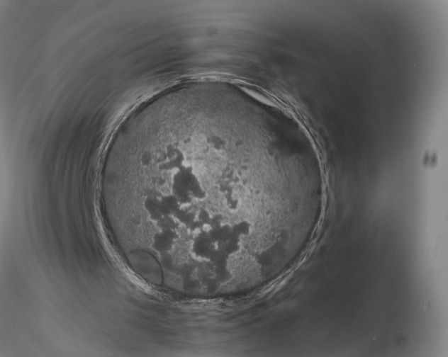 X0000116120049200912071355