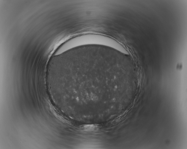 X0000116120050200912071355