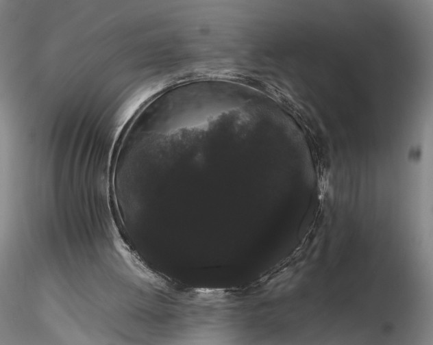 X0000116120052200912071356