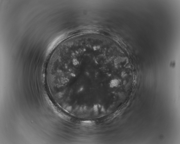 X0000116120053200912071356