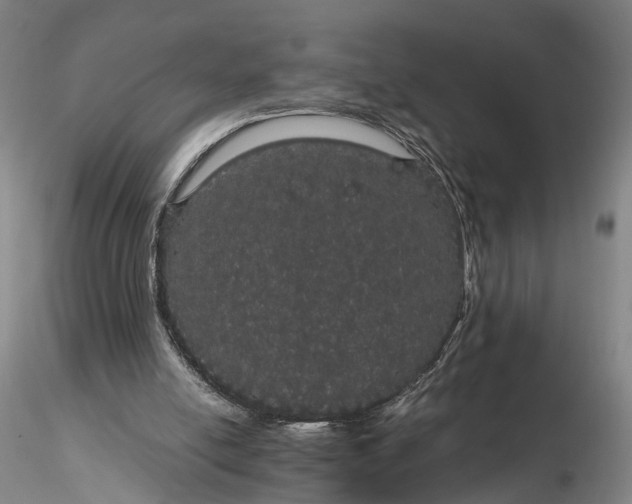 X0000116120054200912071356