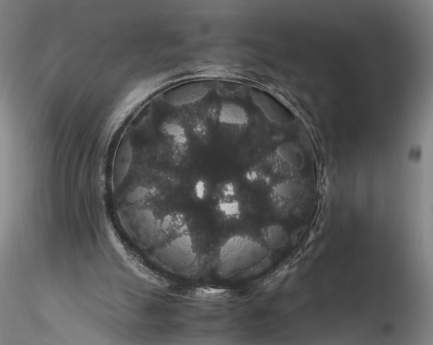 X0000116120055200912071356