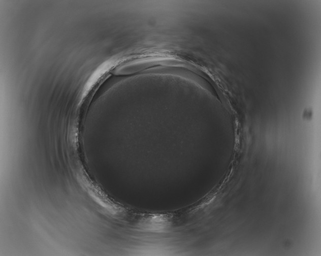 X0000116120056200912071356