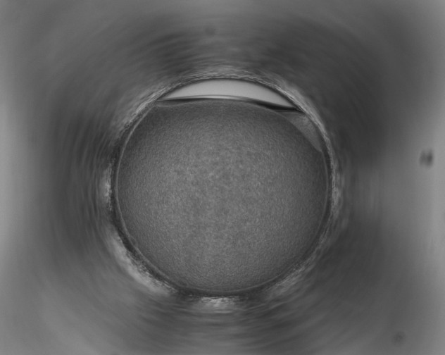 X0000116120057200912071356