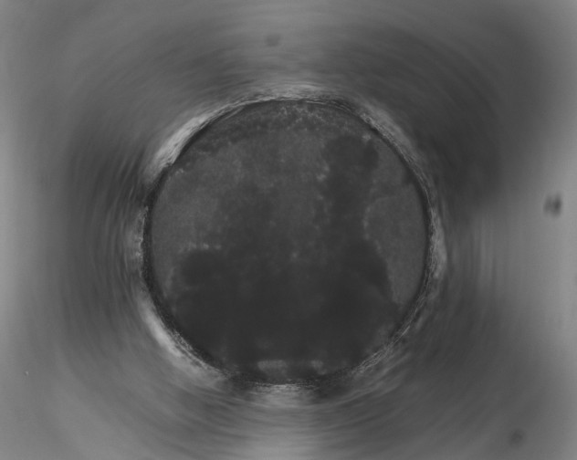 X0000116120058200912071356