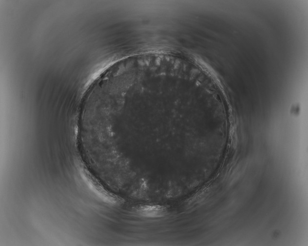 X0000116120059200912071356