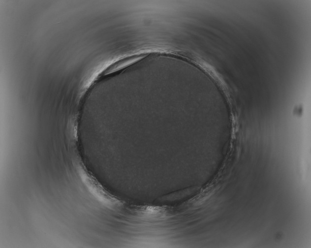 X0000116120060200912071356