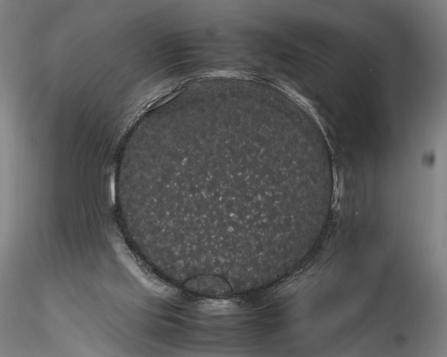 X0000116120061200912071356