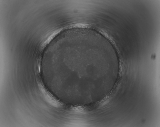 X0000116120062200912071356