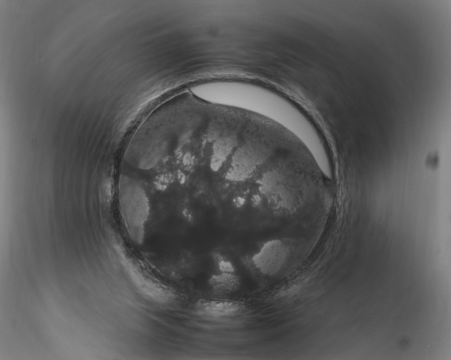 X0000116120063200912071356