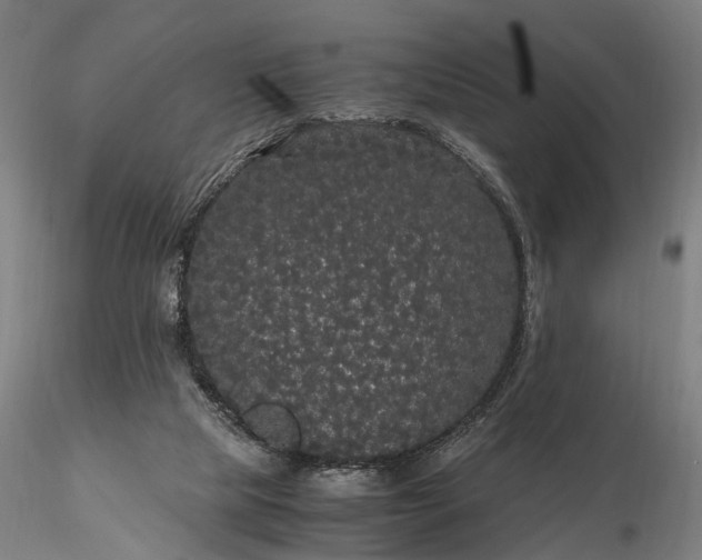 X0000116120065200912071356