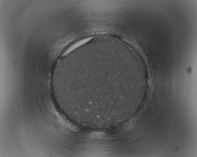 X0000116120066200912071356