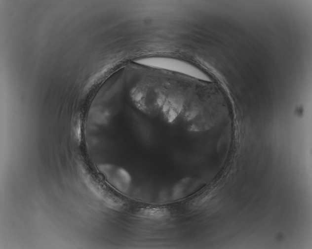 X0000116120067200912071356