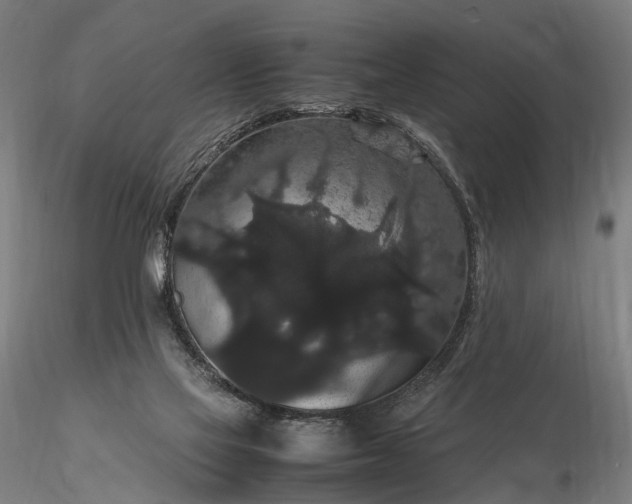 X0000116120069200912071356