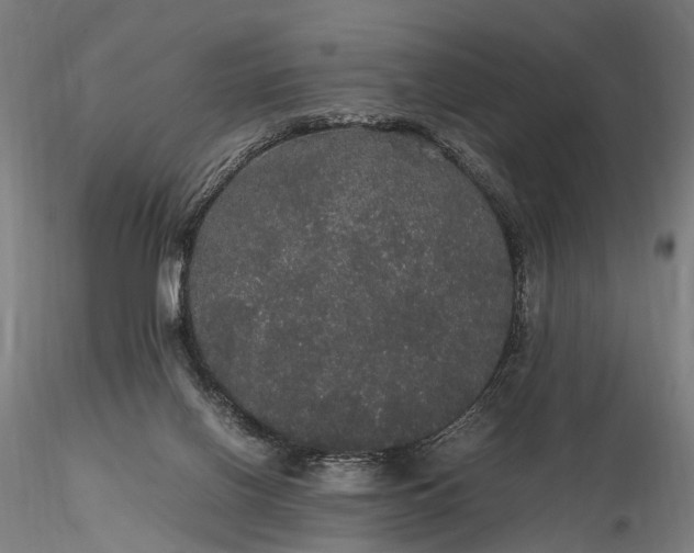 X0000116120070200912071356