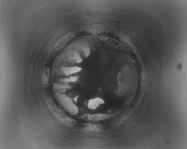 X0000116120073200912071356