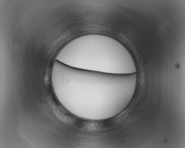 X0000116120074200912071356