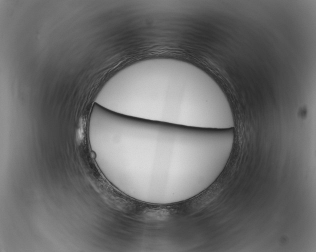 X0000116120075200912071356