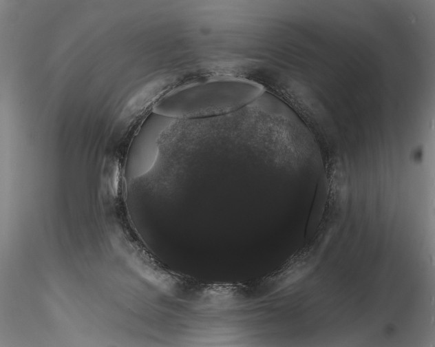 X0000116120076200912071356