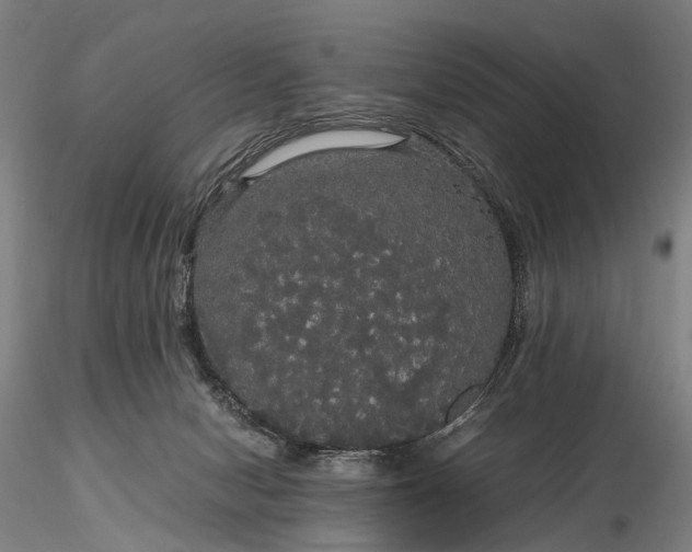 X0000116120078200912071356