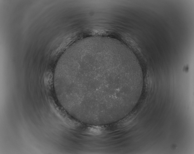 X0000116120079200912071356