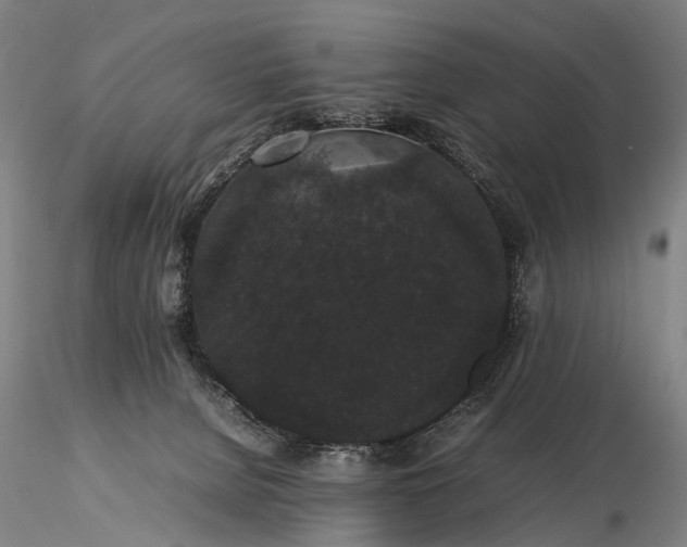 X0000116120080200912071356