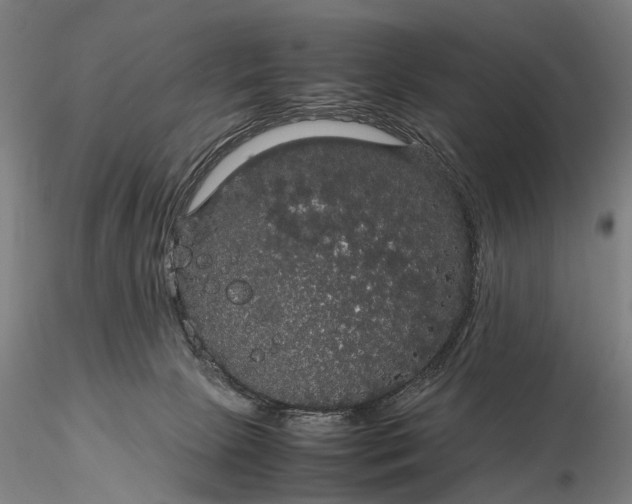 X0000116120081200912071356