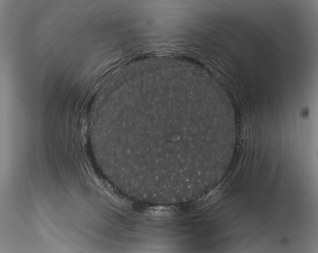 X0000116120082200912071356