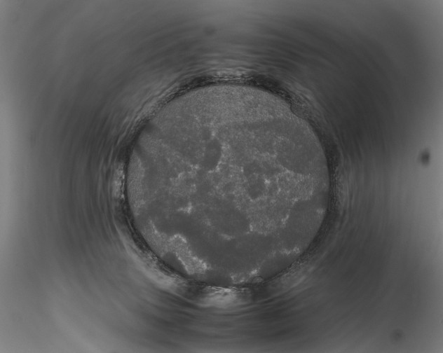 X0000116120083200912071356