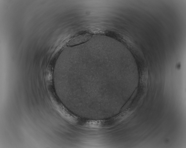 X0000116120084200912071356