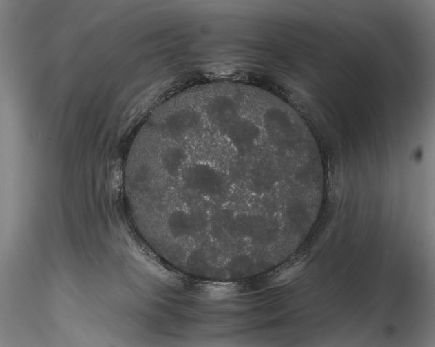 X0000116120085200912071356