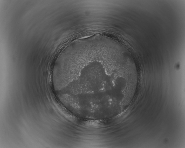 X0000116120086200912071356