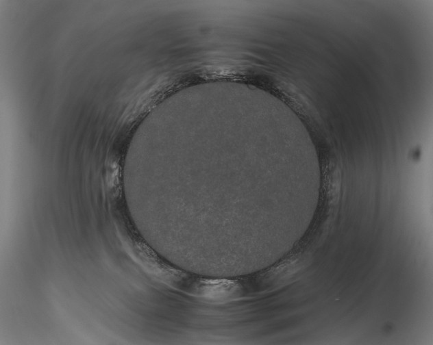 X0000116120087200912071356