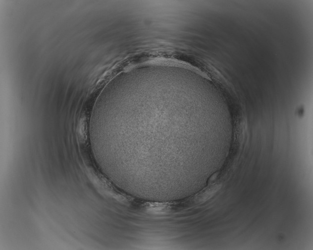 X0000116120088200912071356