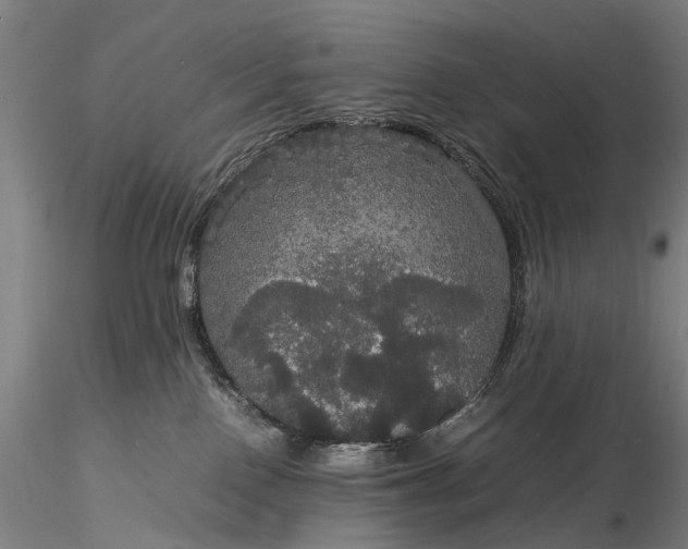 X0000116120090200912071356